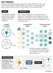 Deep learning in biologia