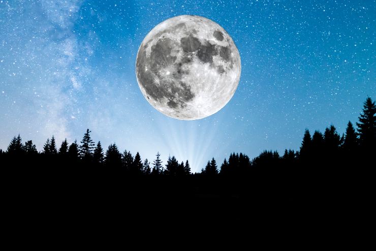 Una super-luna sopra gli alberi