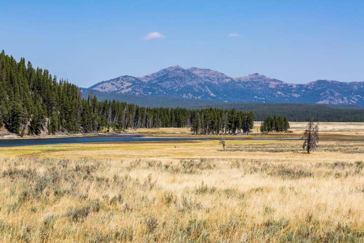 Parco Nazionale di Yellowstone