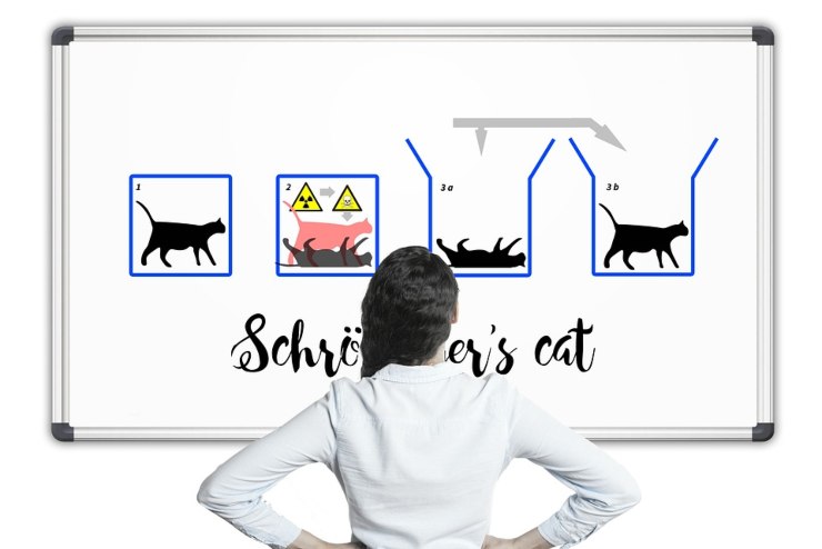 Illustrazione dell'esperimento mentale del gatto di Schrödinger (Pixabay)