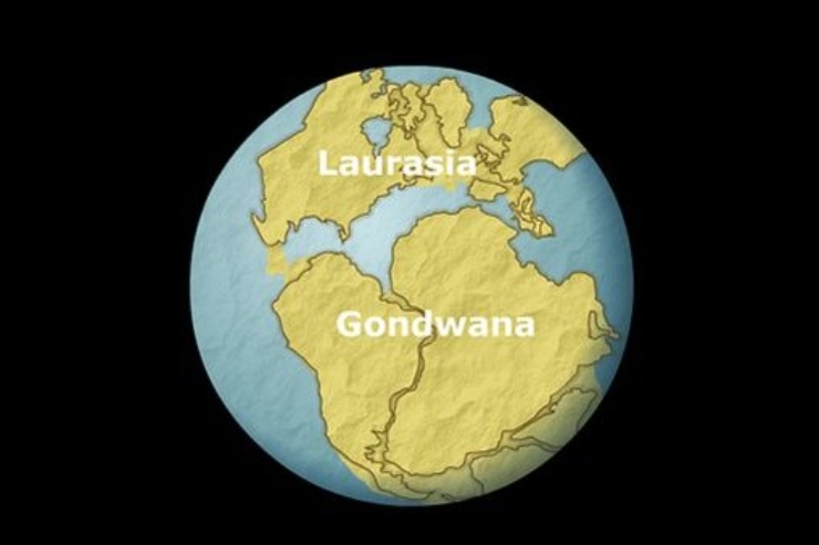 impronte di dinosauro gondwana