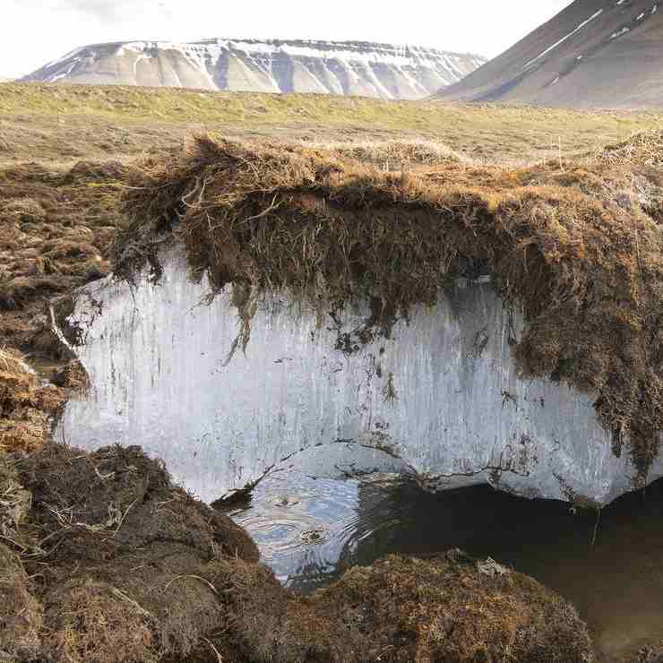 Foto del Permafrost (Enkey Magazine)