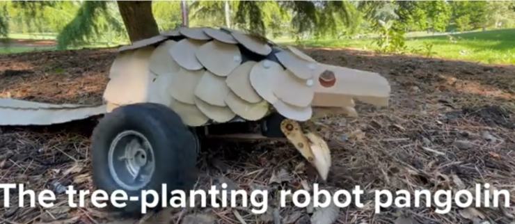 Plantolin robot