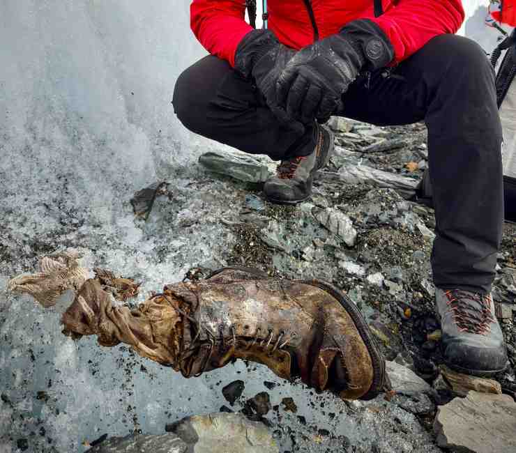 Resto di una gamba (National Geographic_Erich Roepke)