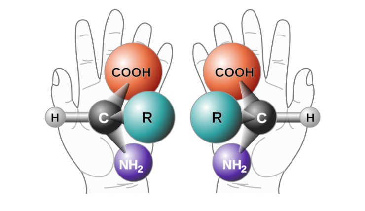 chiralità con le mani