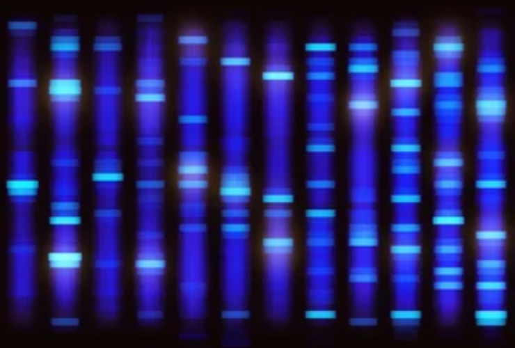 Illustrazione del sequenziamento del DNA (Depositphotos)