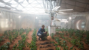 The Martian