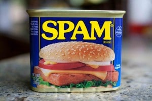 Da dove deriva il termine "spam"?