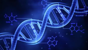DNA, Close-up Engineering, Credits: mashable.com