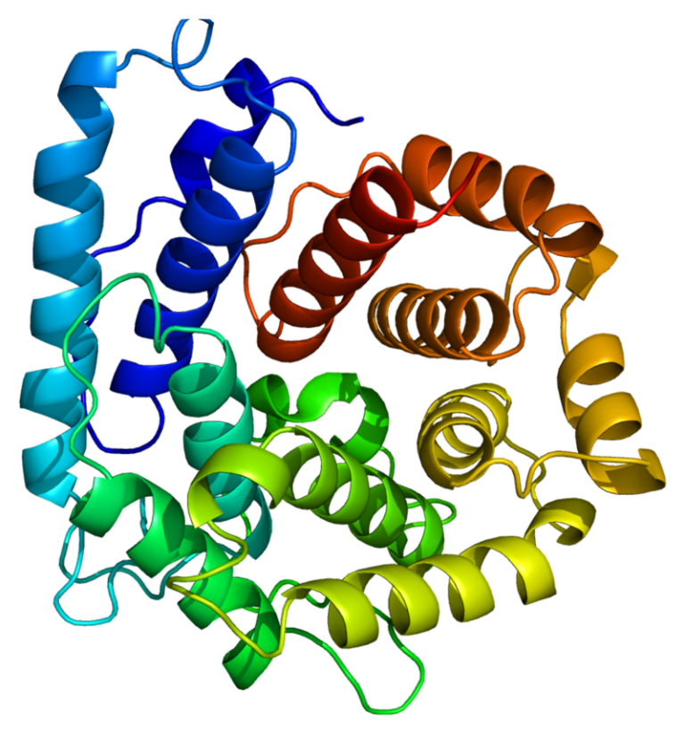 Protein C3a stimulates neural plasticity after brain ischaemia