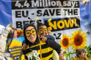 Manifestazione a Favore delle Api