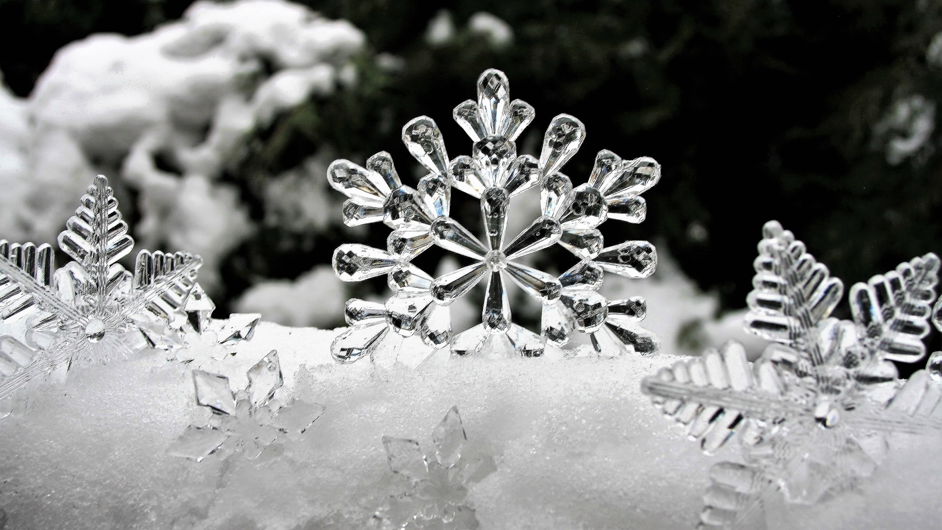 Set Di 4 Decorazioni Natalizie Fiocchi Di Neve In Porcellana - Bianco Opaco, Filigrana, Con Nastro Di Raso - Diametro 8 Cm