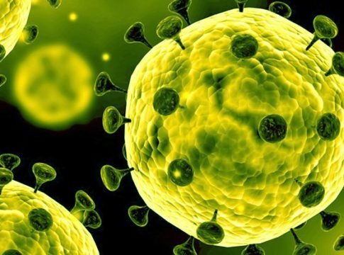 coronavirus