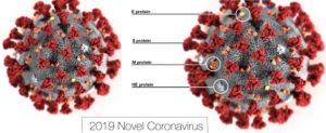 coronavirus