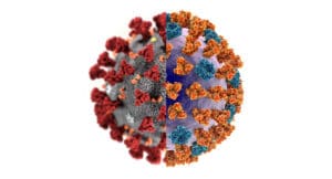 Differenza coronavirus influenza