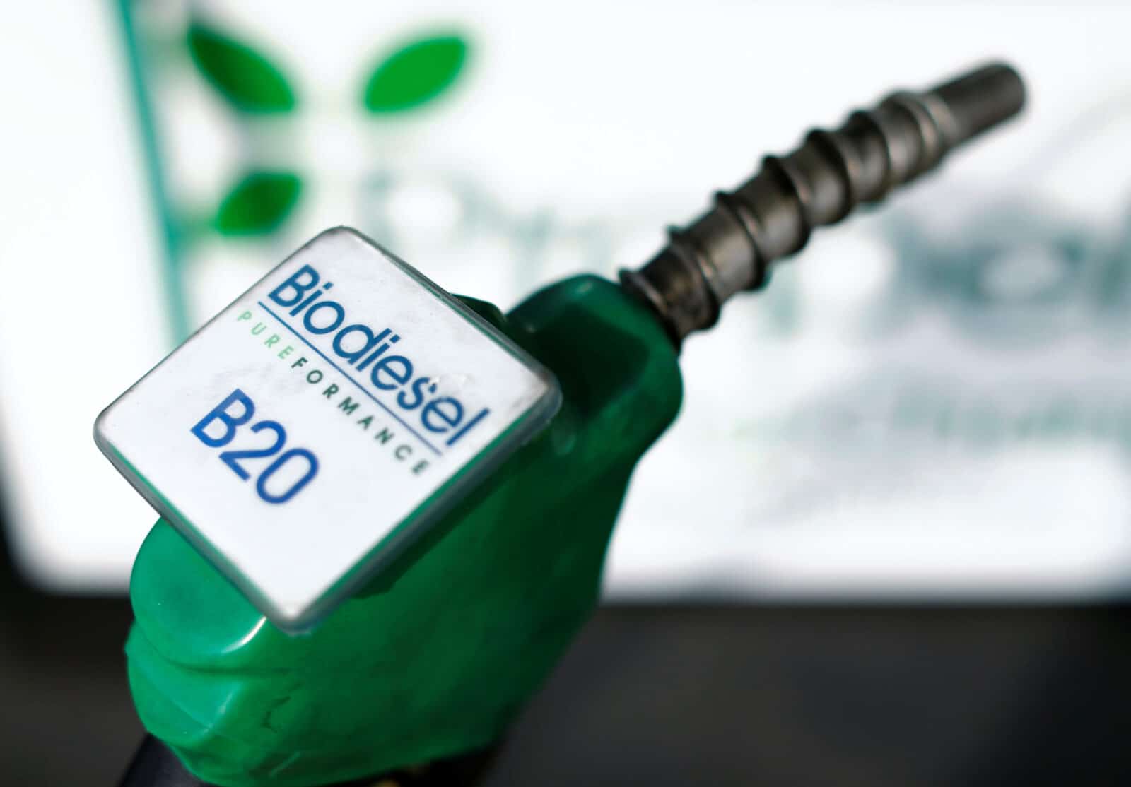 Il biodiesel è una reale alternativa?