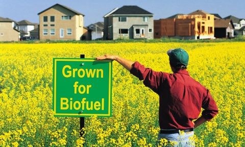 Biodiesel, la svolta nella produzione dei biocombustibili