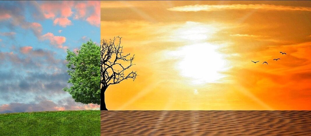 Cosa Pensano Gli Scienziati Del Riscaldamento Globale