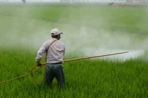 Pesticidi: armi che ci proteggono o nemici da combattere?