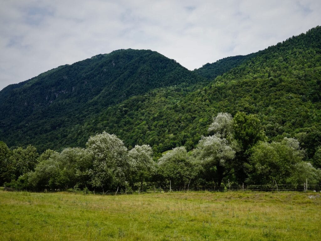 Idrolisi alcalina: l'alternativa alla cremazione che rispetta l'ambiente.