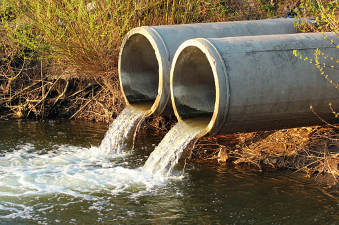 PFAS: cosa sono, a cosa servono e perché sono pericolosi?