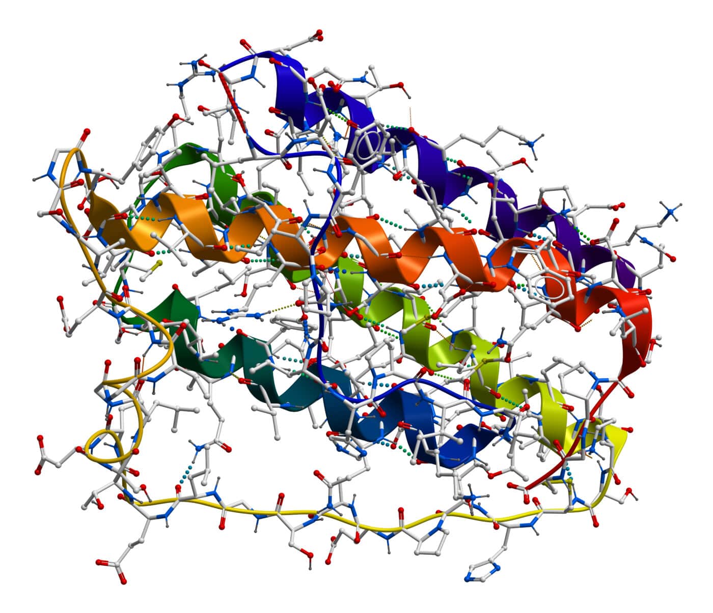 FRET applicato per visualizzare la Struttura 3d di una  proteina