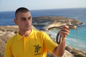 serpenti a lampedusa