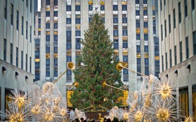 Come fare l’albero di Natale perfetto grazie alla Matematica