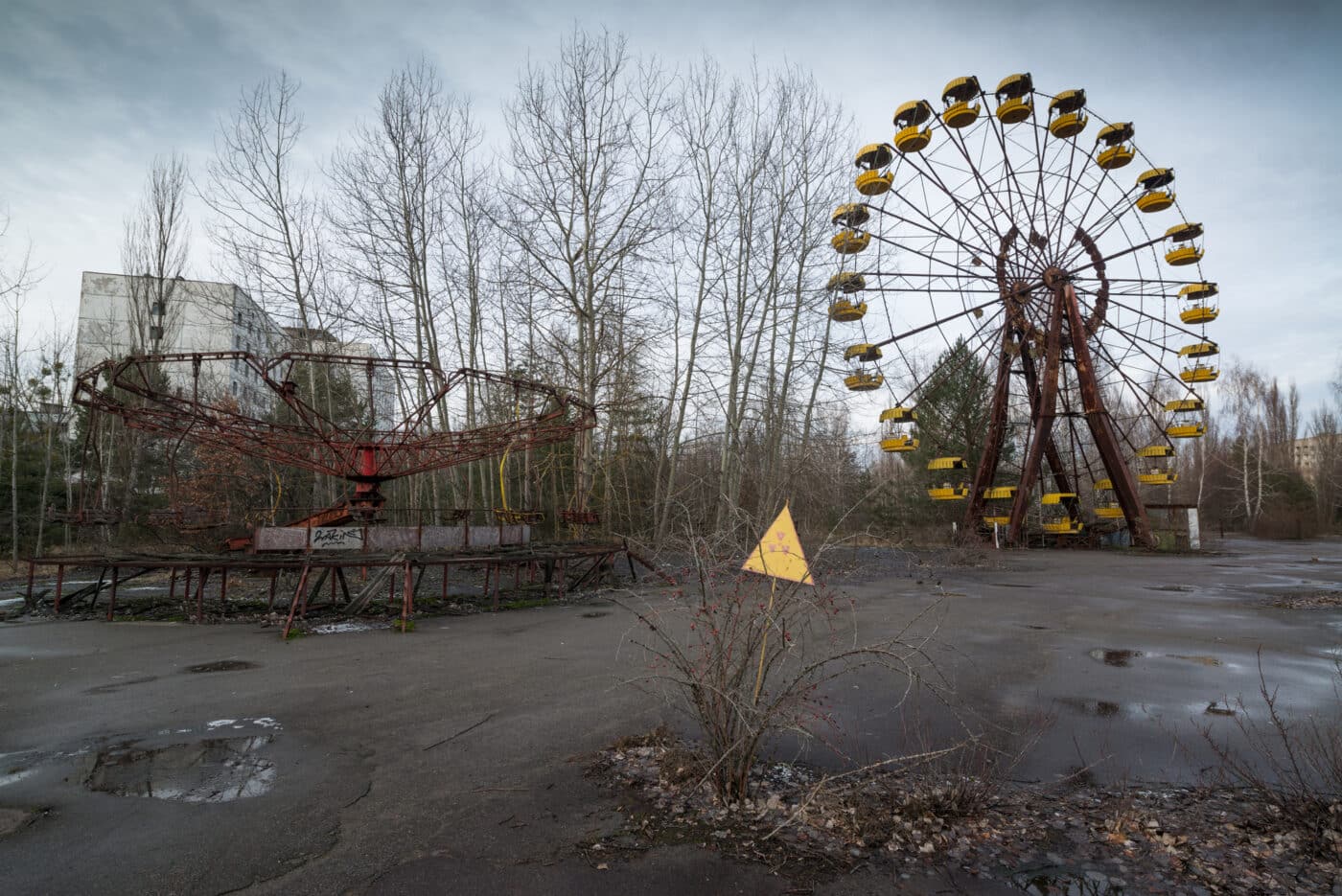 lupi di Chernobyl