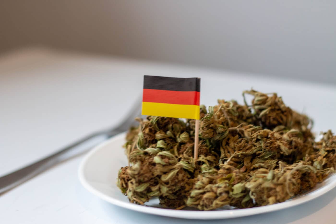 Legalizzazione della cannabis in Germania: