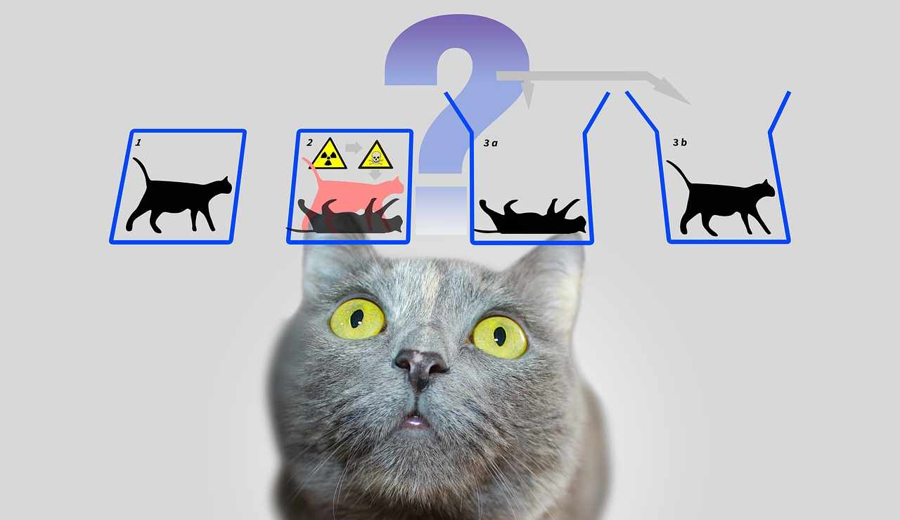 Illustrazione dell'esperimento mentale del gatto di Schrödinger (Pixabay)