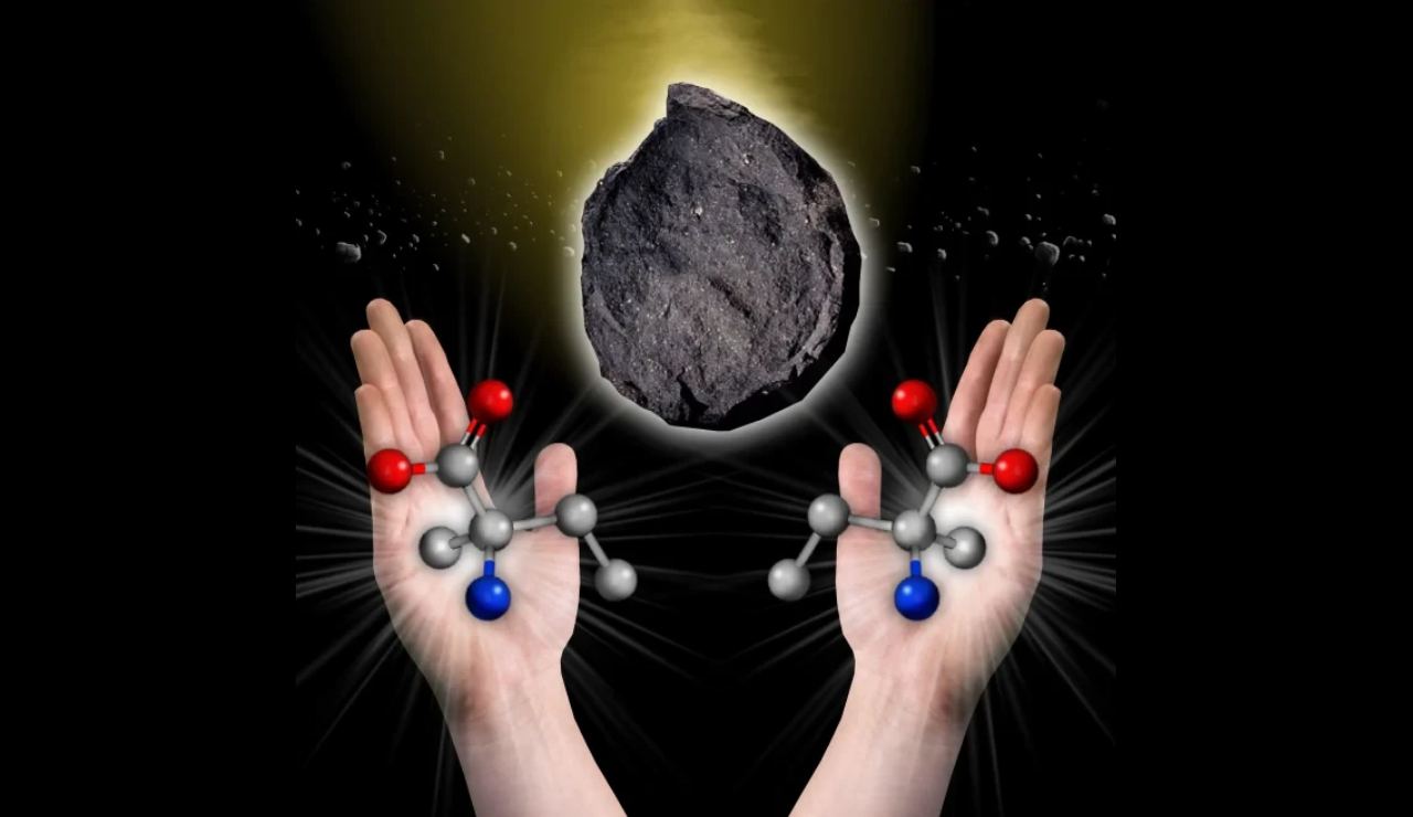 Versione destrorsa e mancina dell’amminoacido isovalina, trovato nel meteorite di Murchison (Nasa