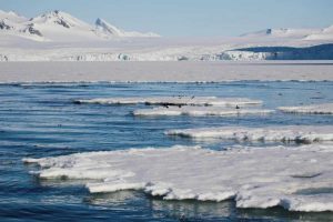 Artico situazione irreparabile foto scienziati