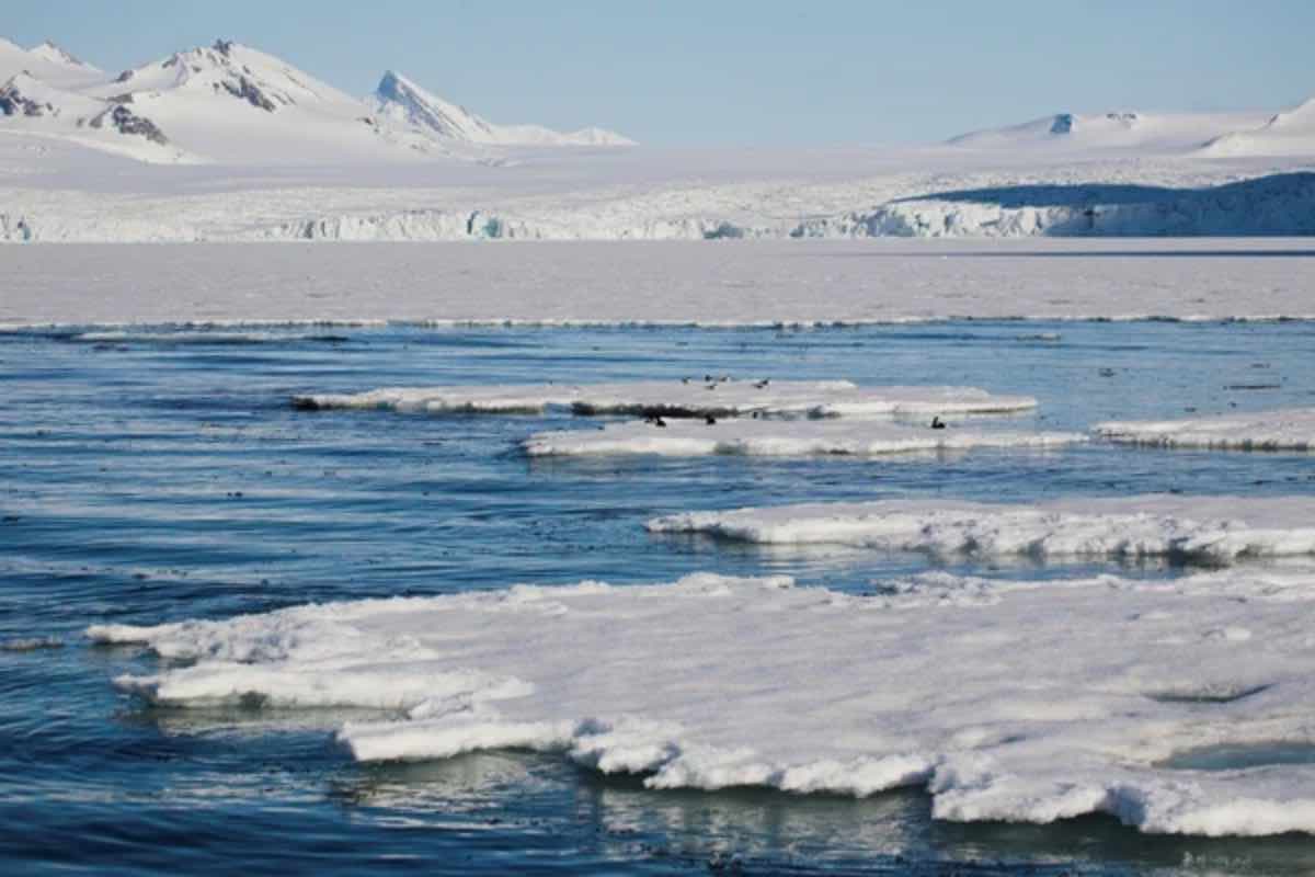 Artico situazione irreparabile foto scienziati