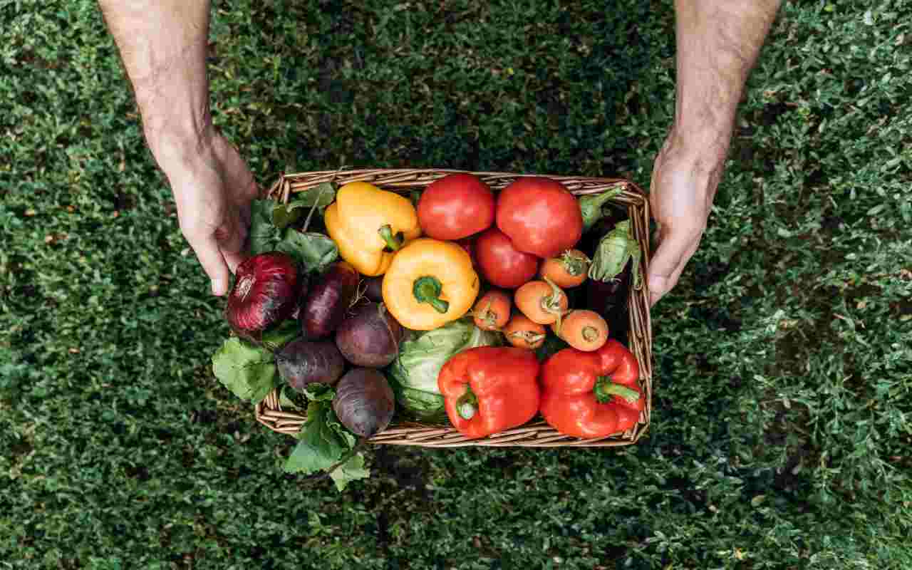 verdure teglia