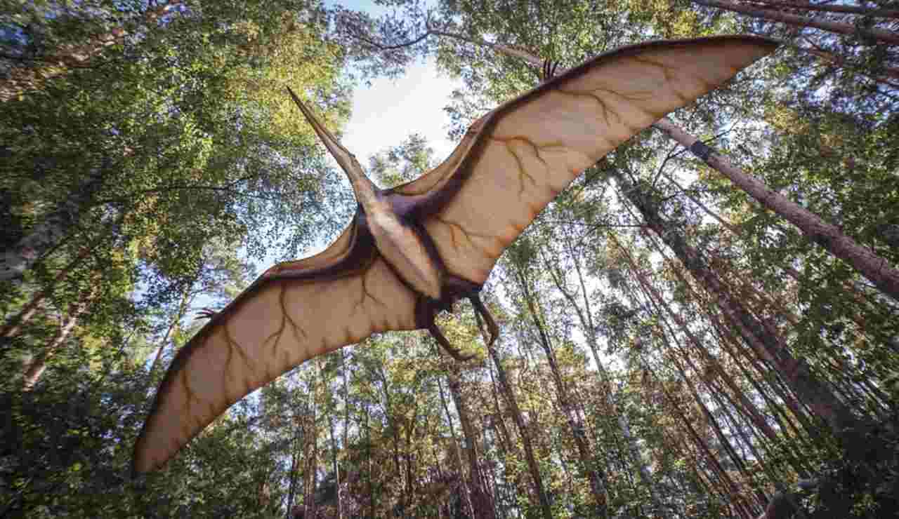 Illustrazione di un pterosauro (Pixabay FOTO) - www.sciencecue.it