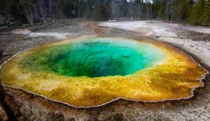 Illustrazione di un laghetto a Yellowstone (Pexels FOTO) - www.sciencecue.it